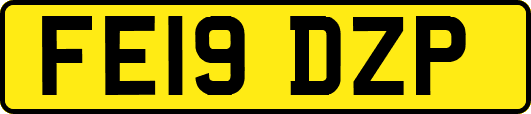 FE19DZP