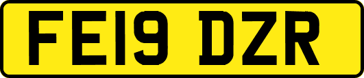 FE19DZR