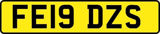 FE19DZS