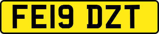 FE19DZT