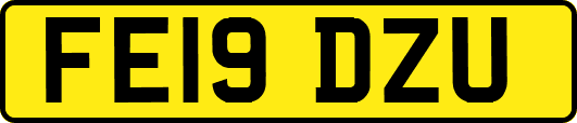 FE19DZU