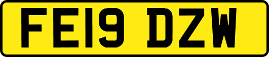 FE19DZW