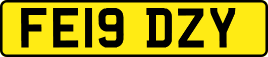 FE19DZY