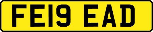 FE19EAD