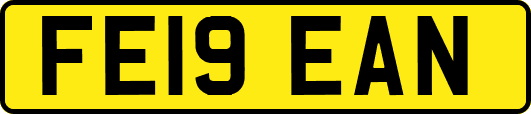 FE19EAN