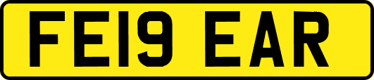 FE19EAR