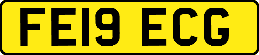 FE19ECG
