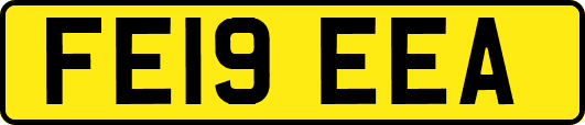 FE19EEA