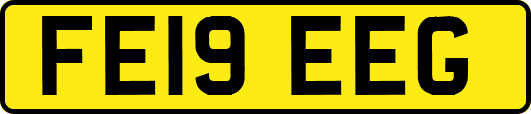 FE19EEG