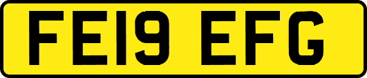 FE19EFG