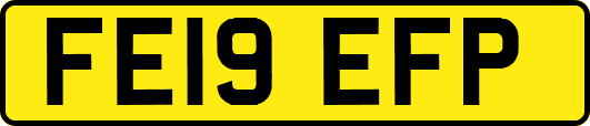 FE19EFP