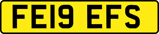 FE19EFS