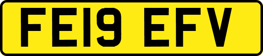 FE19EFV