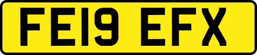 FE19EFX