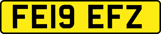FE19EFZ