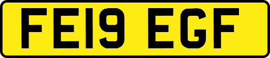 FE19EGF