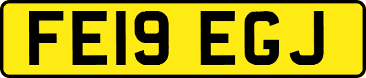FE19EGJ