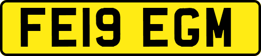 FE19EGM