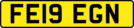 FE19EGN