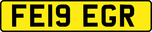 FE19EGR
