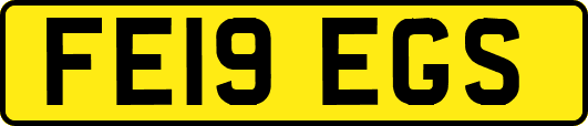 FE19EGS