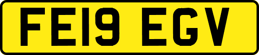 FE19EGV