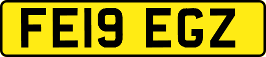 FE19EGZ