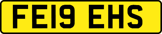 FE19EHS
