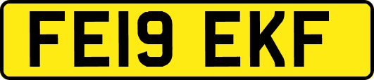 FE19EKF