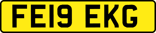 FE19EKG