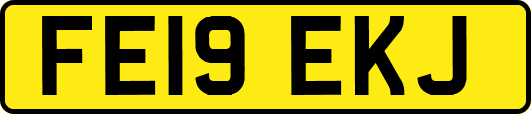 FE19EKJ