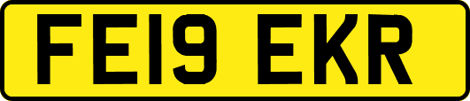 FE19EKR