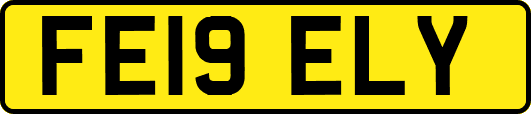 FE19ELY
