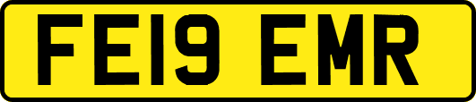 FE19EMR