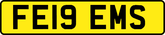 FE19EMS