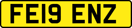 FE19ENZ