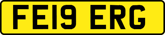 FE19ERG
