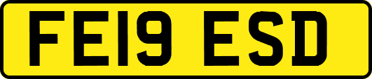 FE19ESD