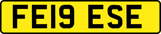 FE19ESE