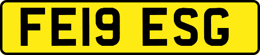 FE19ESG