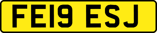 FE19ESJ