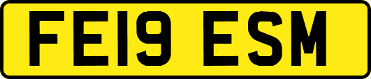 FE19ESM
