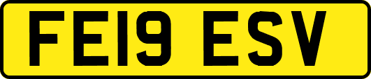 FE19ESV
