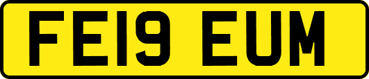 FE19EUM