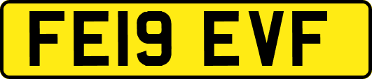 FE19EVF