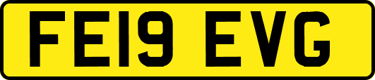 FE19EVG