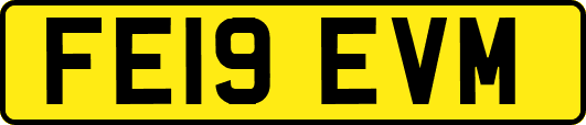 FE19EVM