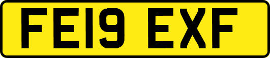 FE19EXF