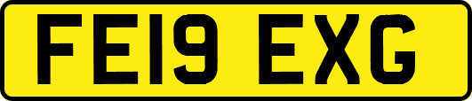 FE19EXG