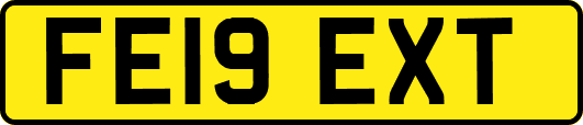 FE19EXT